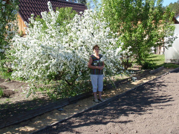 Галина Кузнецова