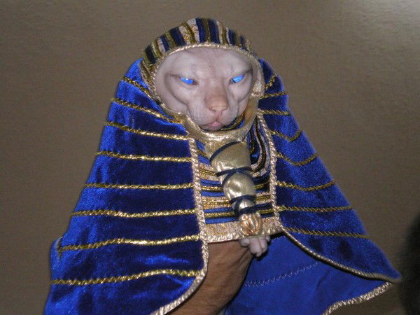 Сергей Арсенов