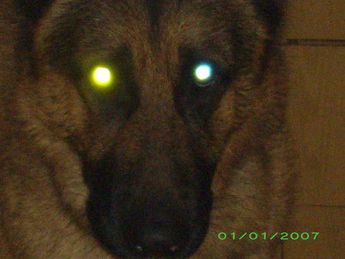 Сергей Ермолаев