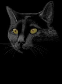 Антон Смутов