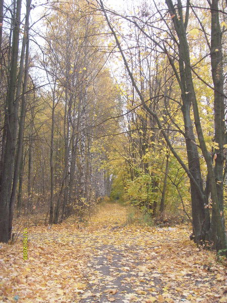 Ольга Оводкова