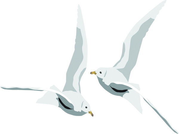 Сергей Трубчанинов