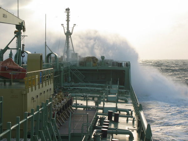 Халеев Дмитрий