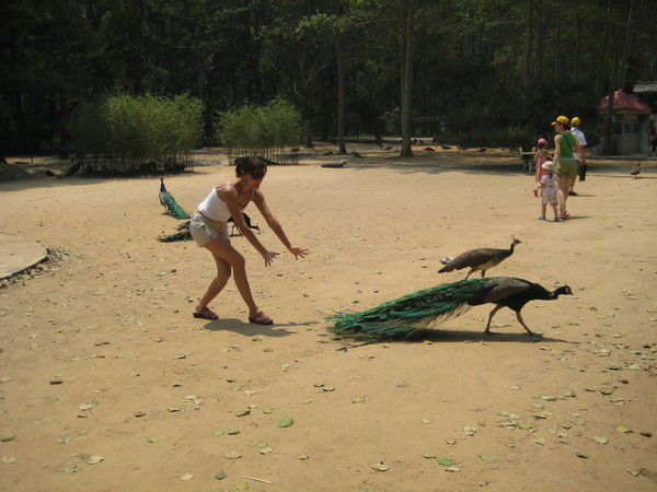 Эльвира Пирогова