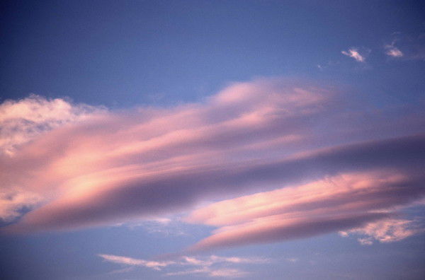 Татьяна Крылова