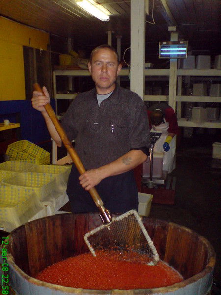 Александр Фадеев