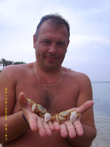 Андрей Кисленко