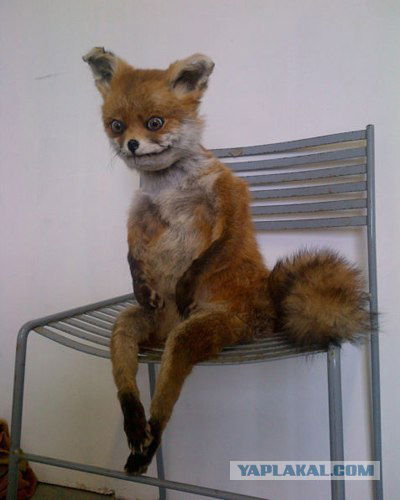 Никита Хамзин