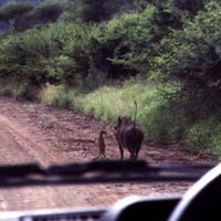 Данияр Атнабаев
