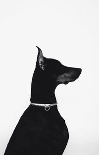 Виктория Линдерман