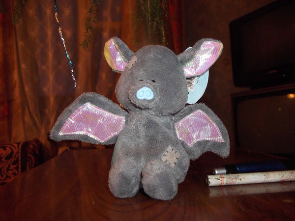 Лариса Янтра