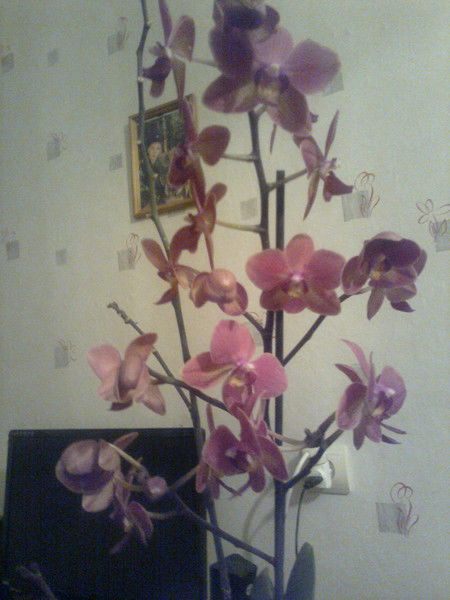 Наталья Наталья