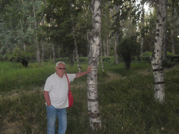 Сергей Тимашев