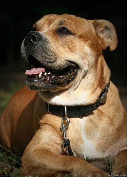 Екатерина Воронина