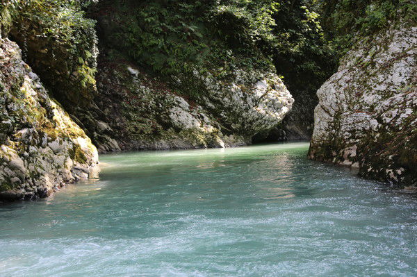 Илья Казикин