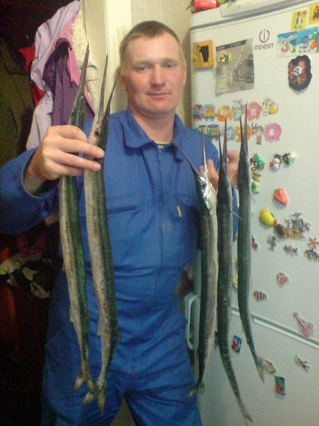 Алексей Евдокимов