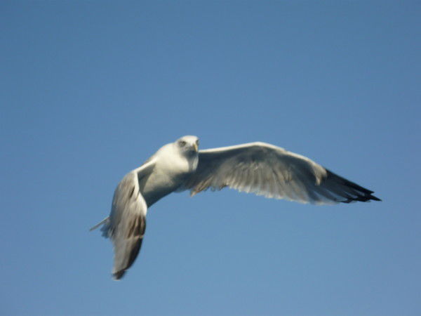 Татьяна Дудина