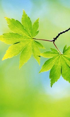 Раян Загидуллин