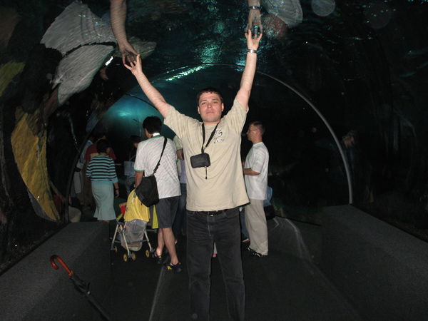 Александр Сушко