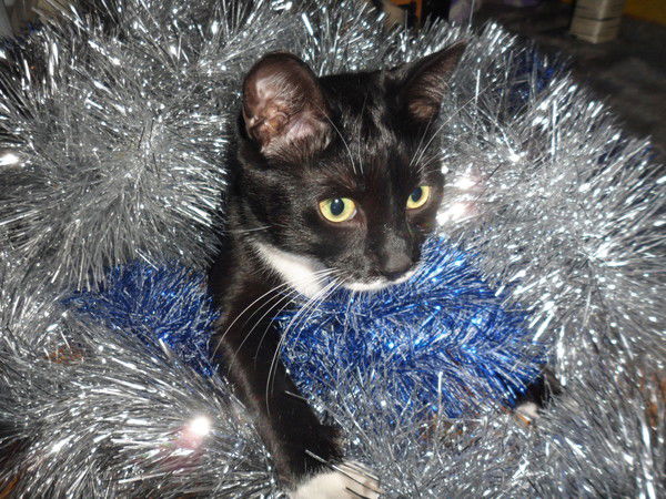 Агентство Недвижемости