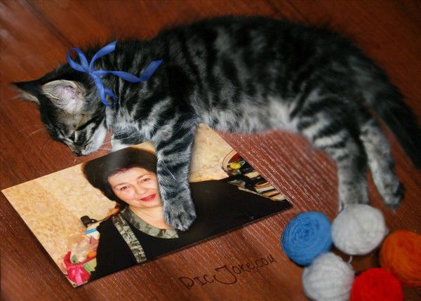 Татьяна Грицак (Филина)