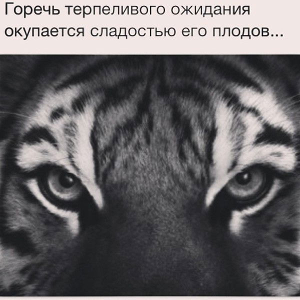 Арти Нурдинов