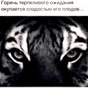 Арти Нурдинов
