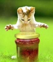 Наталия Мухина