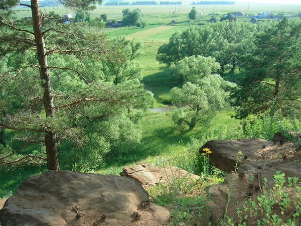 Анатолий Пиломатериал