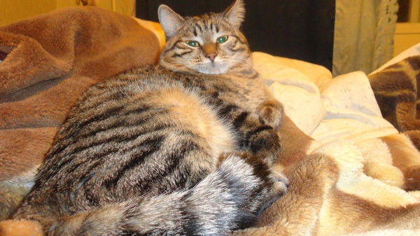 Григорий Анатольевич