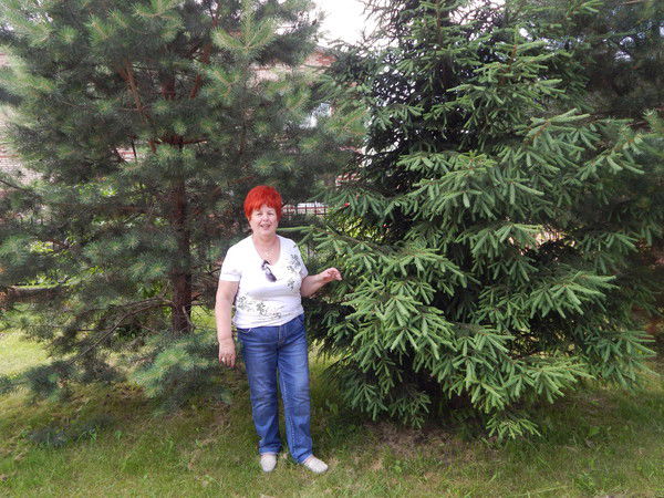 Валентина Якимченко