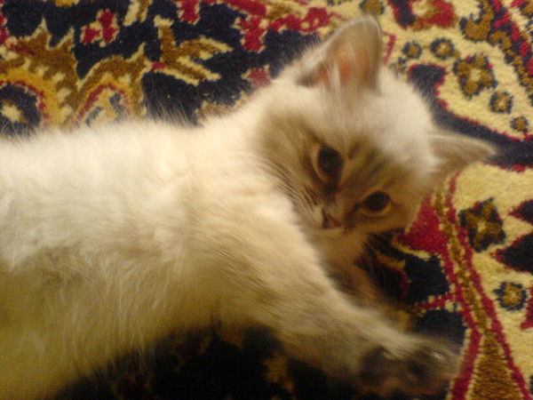 Альфия Хусаинова