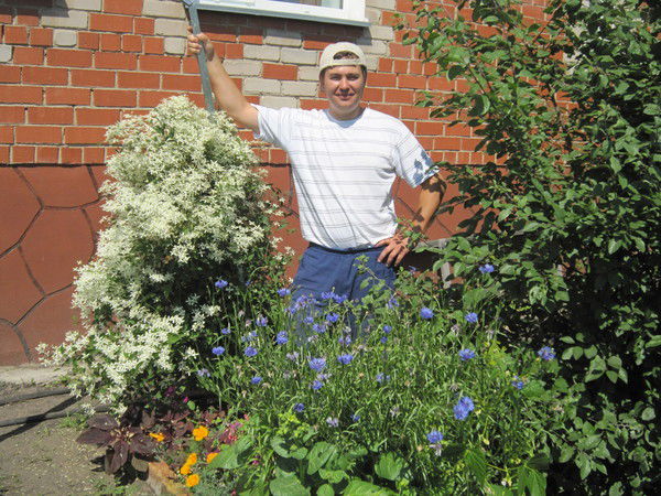 Костя Горулев