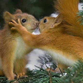 Татьяна Алексеева