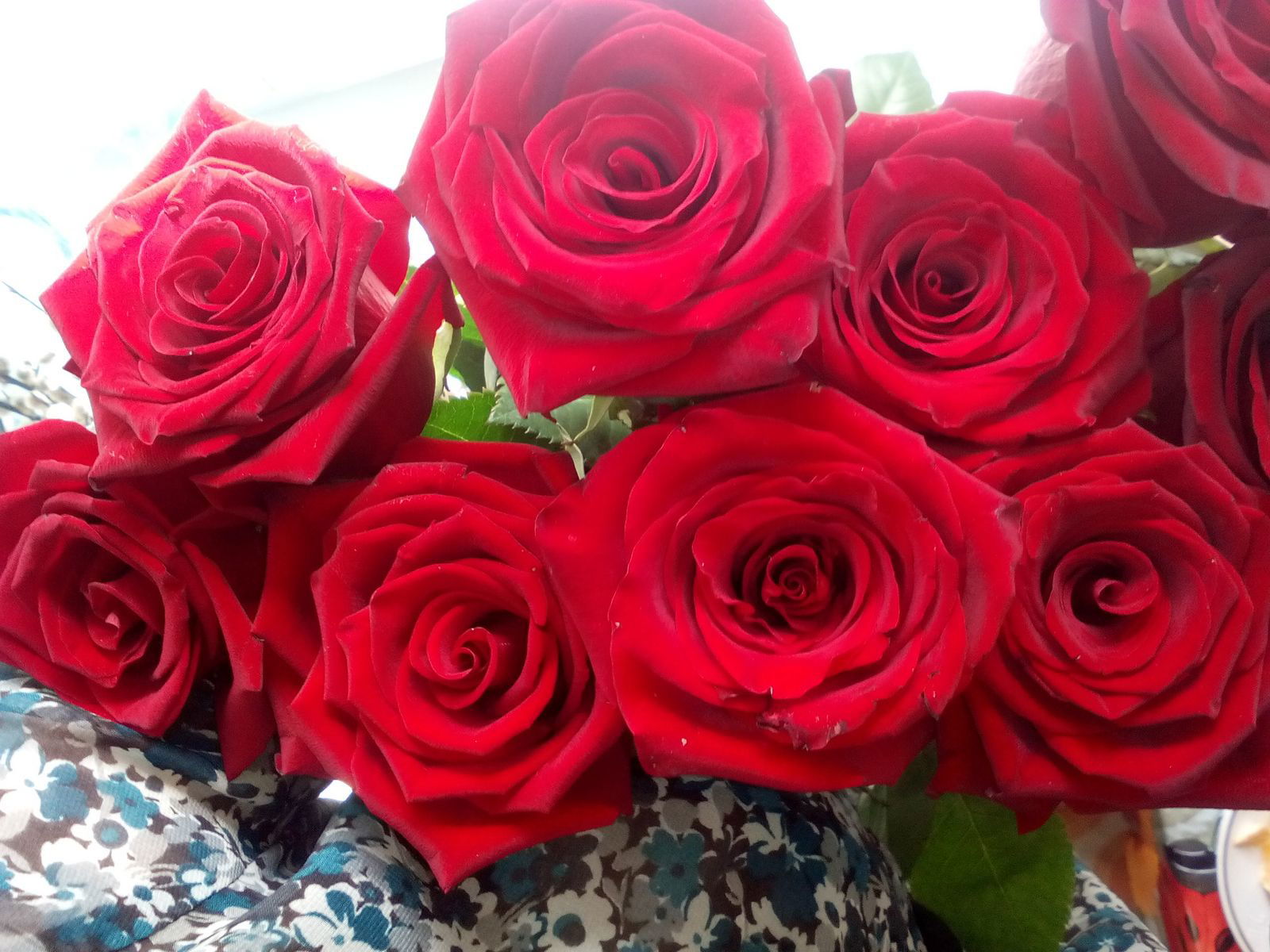 Ольга Минибаева