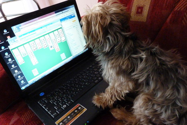 Людмила Spulin