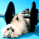 Стас Зеленков