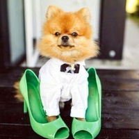 Катюша Кухаренкова