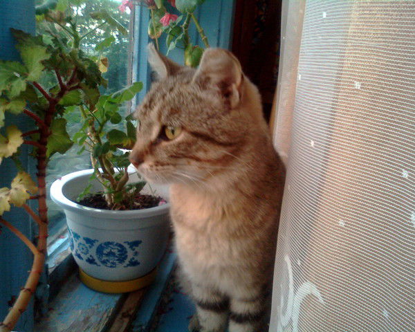 Сергей Бельды