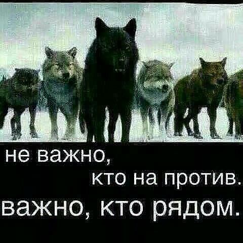 Владимир Иванов