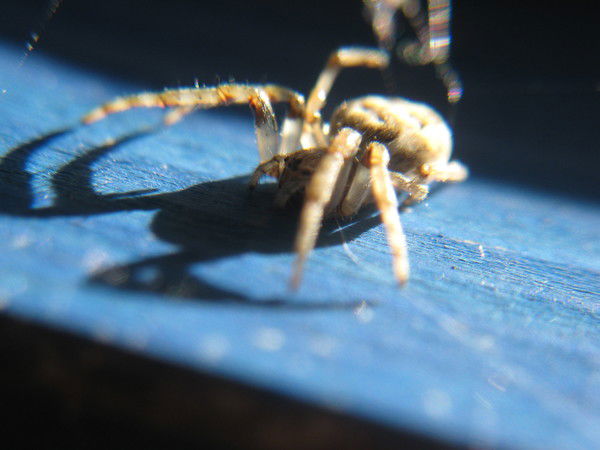 Александр Юров