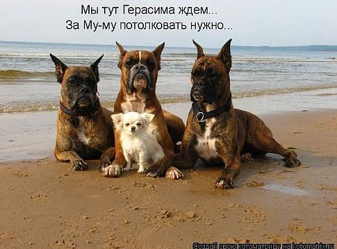 Аслан Девлитмурзаев