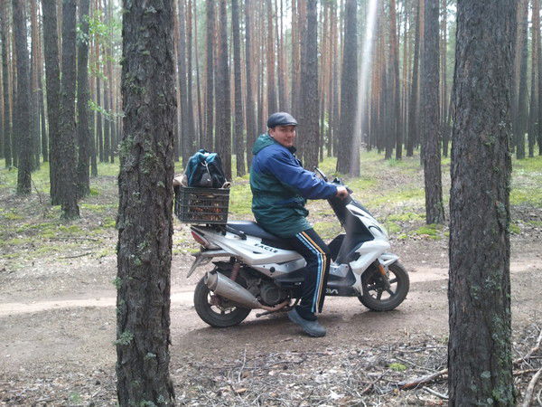 Зима Холода