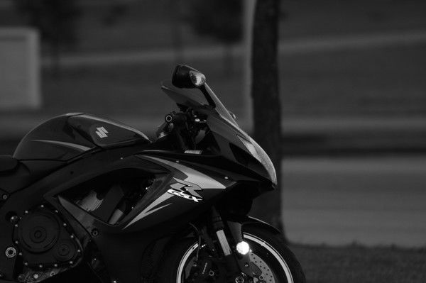 Александр Белевич