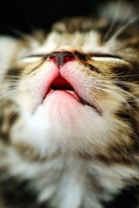 Эвелина Савушкина