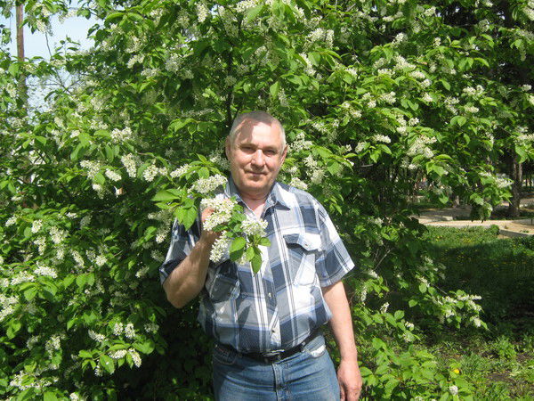 Василий Стрельцов