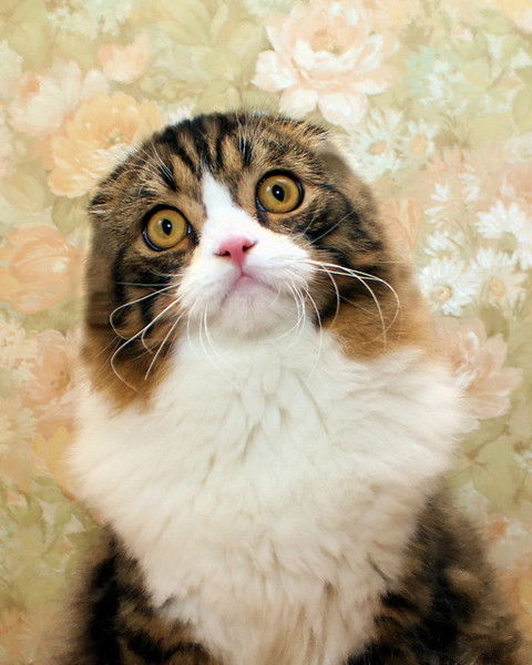 Екатерина Немчинова