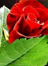 Аня Кузьмина