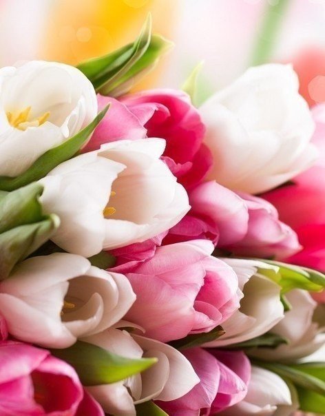 Ни Кто Кроме Меня.