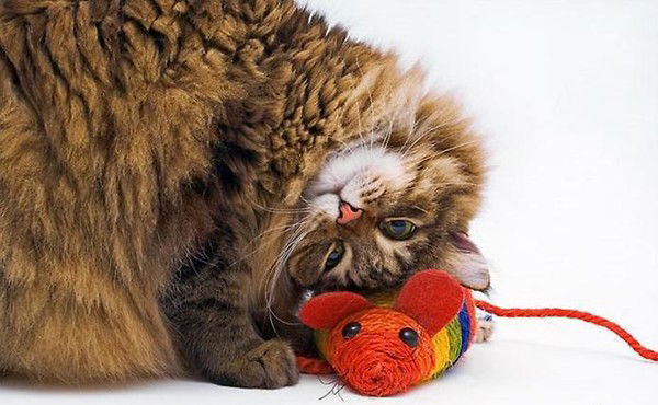 Иван Дерменжи